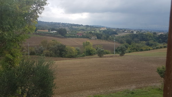  - foto 6