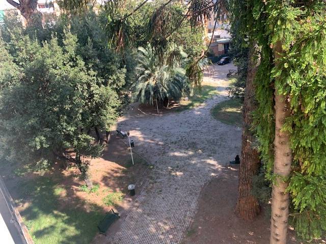  - foto 19