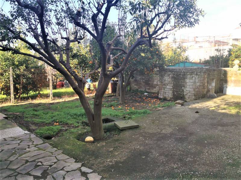  - foto 15