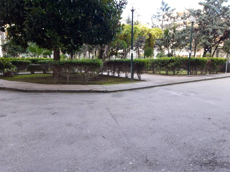  - foto 12