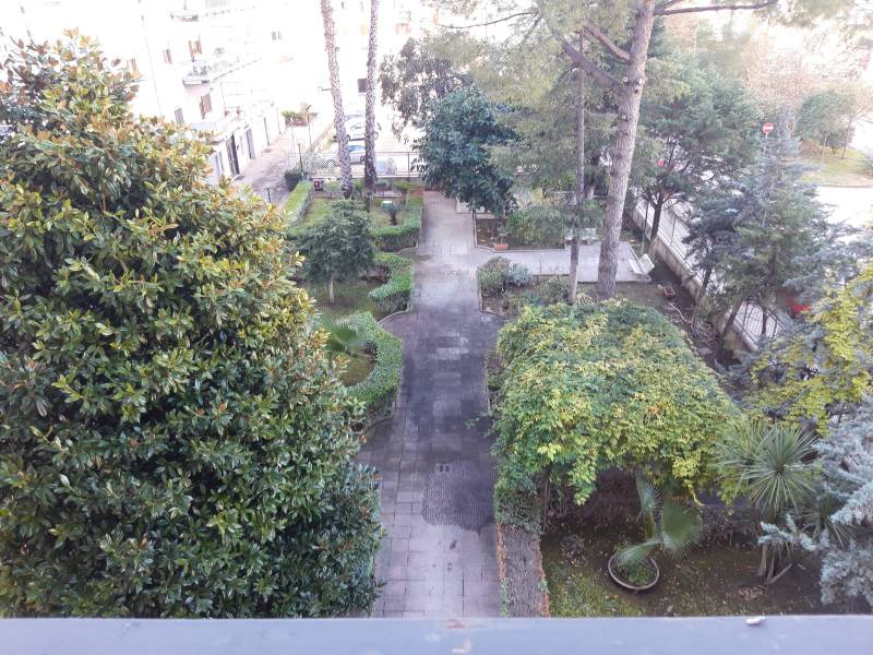  - foto 16