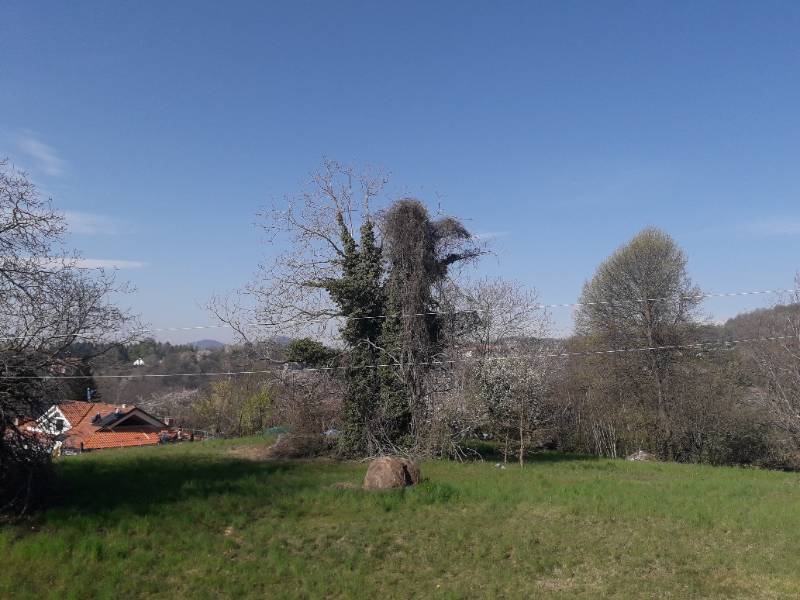  - foto 23