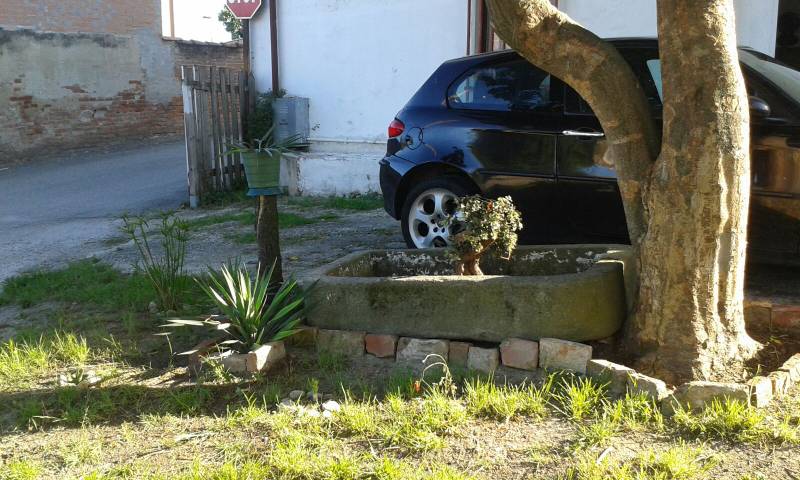  - foto 12