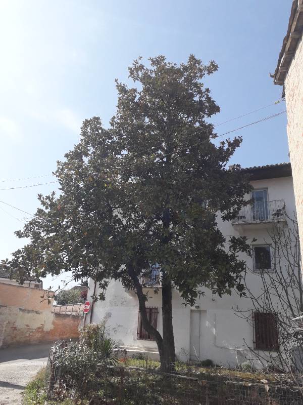  - foto 5