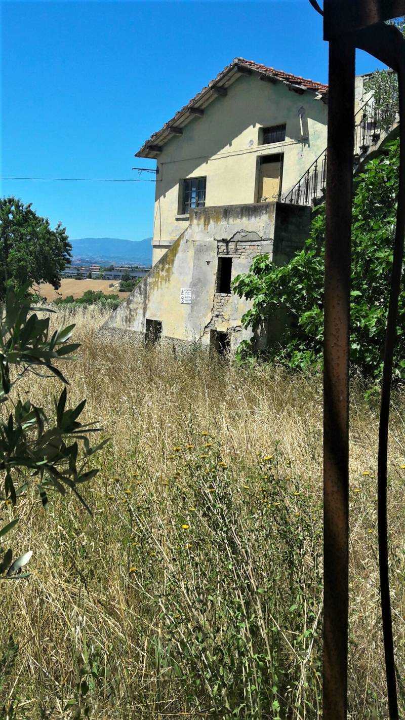 immagine annuncio 6 di 14