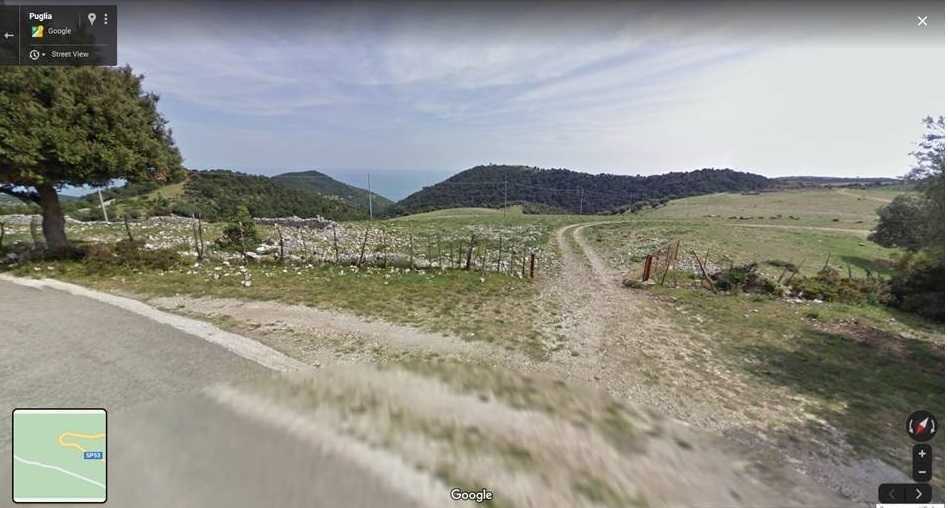immagine annuncio 10 di 15