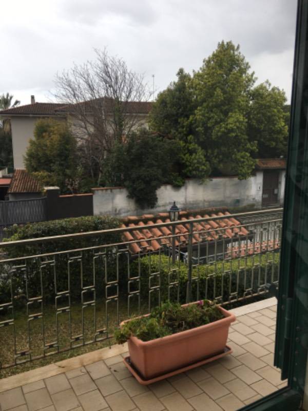  - foto 9