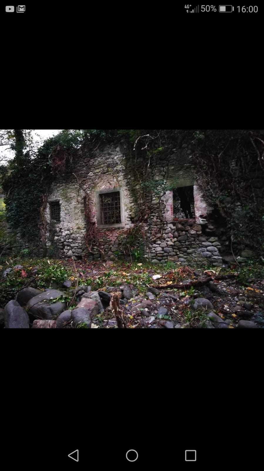 immagine annuncio 1 di 6