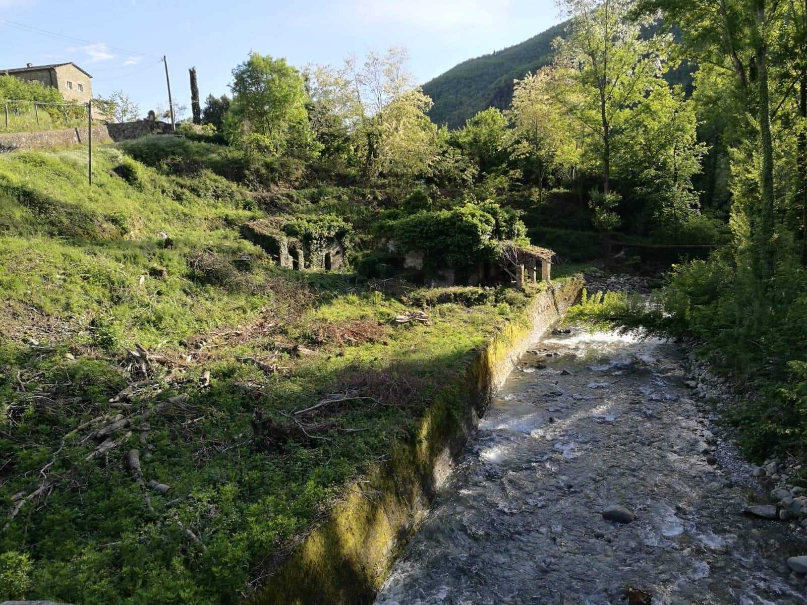 immagine annuncio 2 di 6