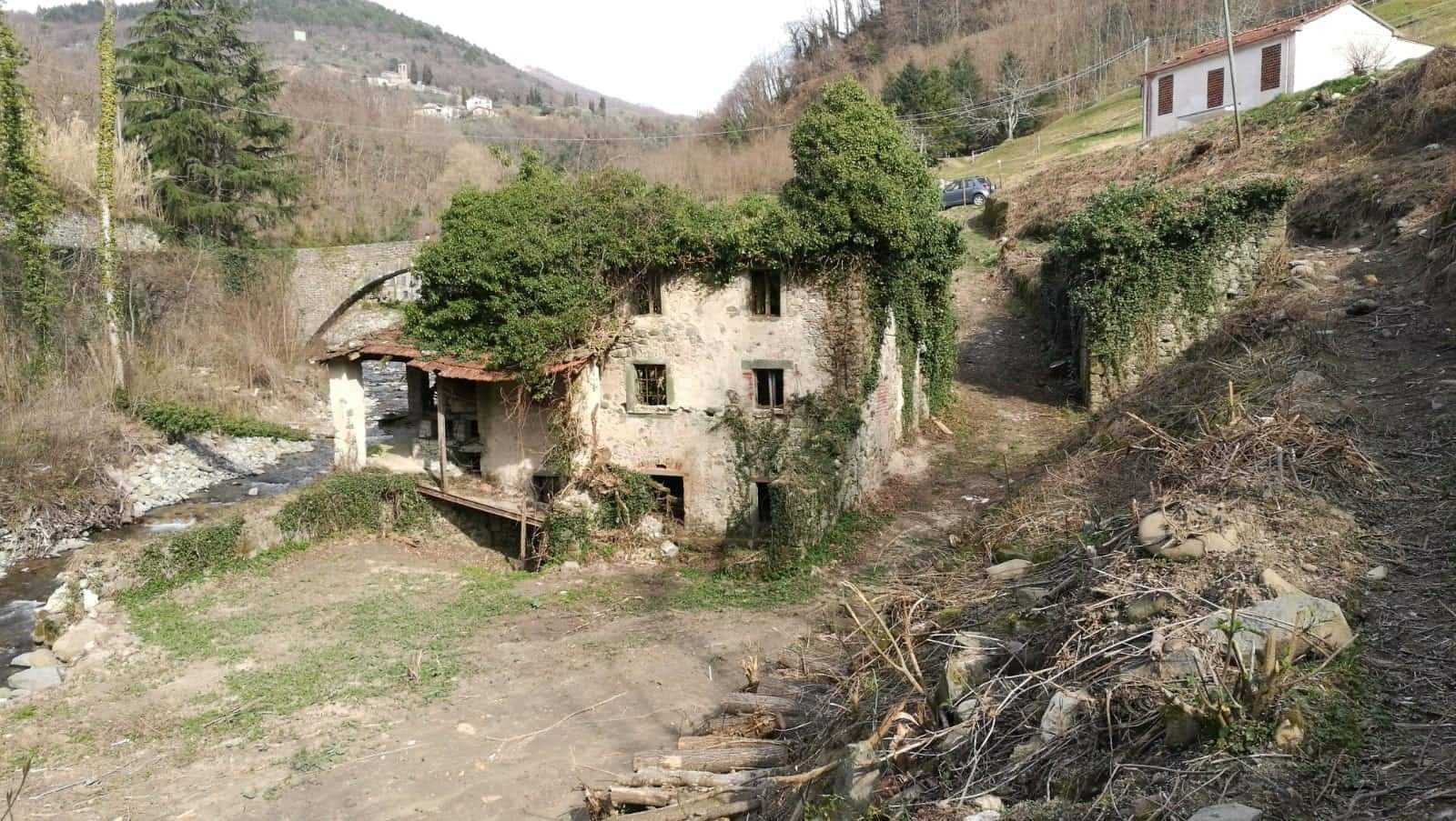 immagine annuncio 3 di 6