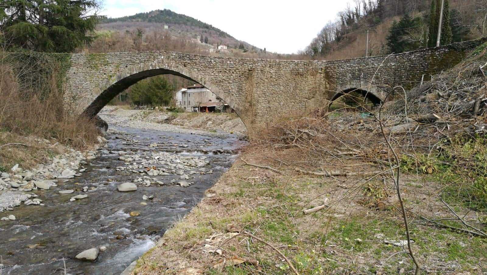 immagine annuncio 5 di 6