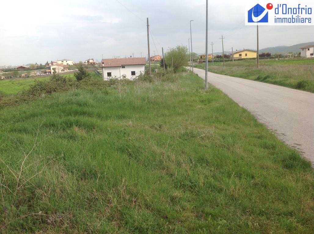 immagine annuncio 2 di 3