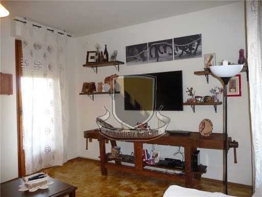  - foto 9