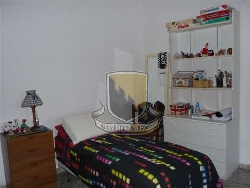  - foto 9