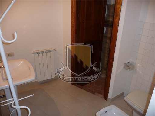  - foto 11