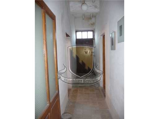  - foto 12