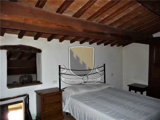  - foto 16