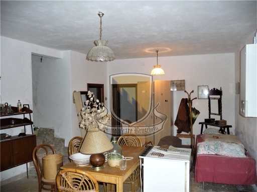  - foto 13