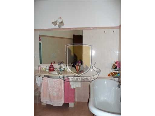  - foto 21