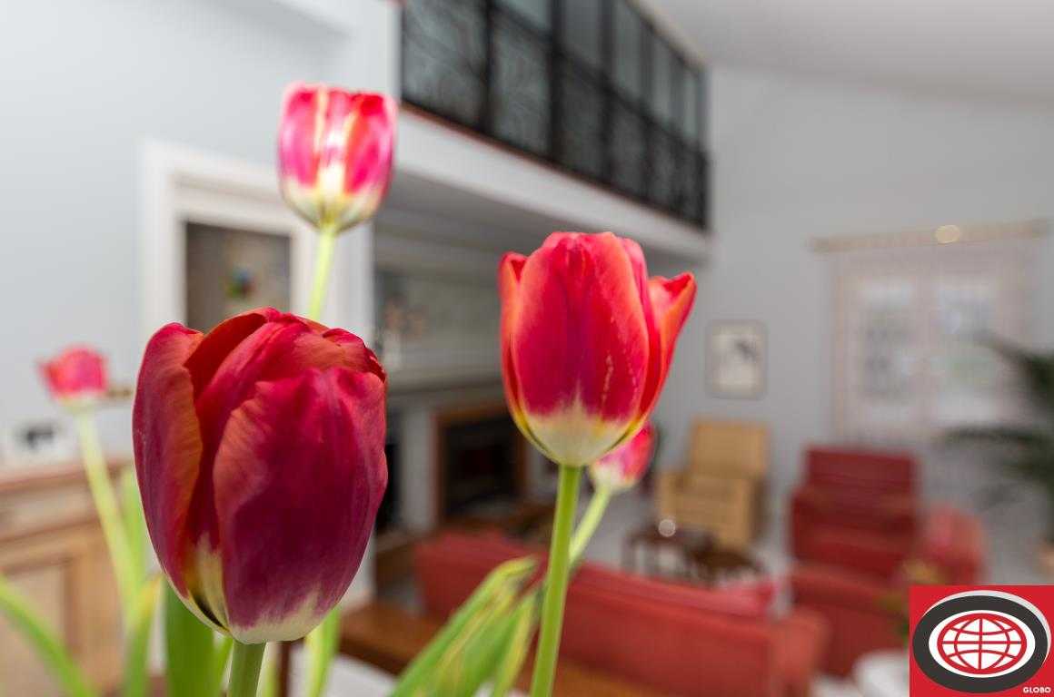  - foto 5