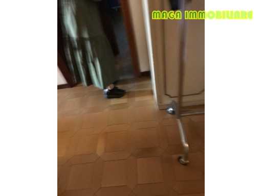  - foto 21