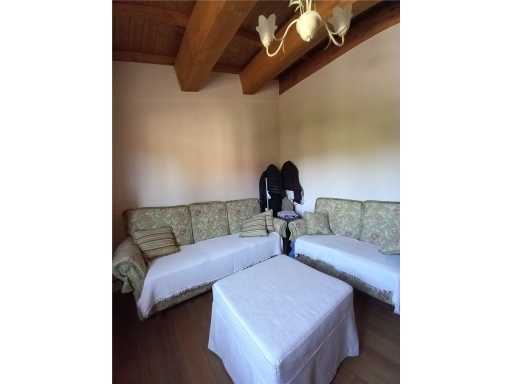  - foto 11