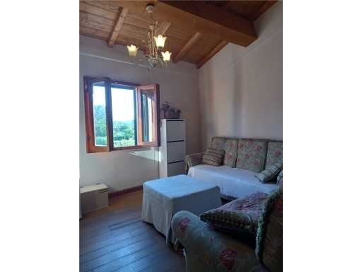  - foto 14