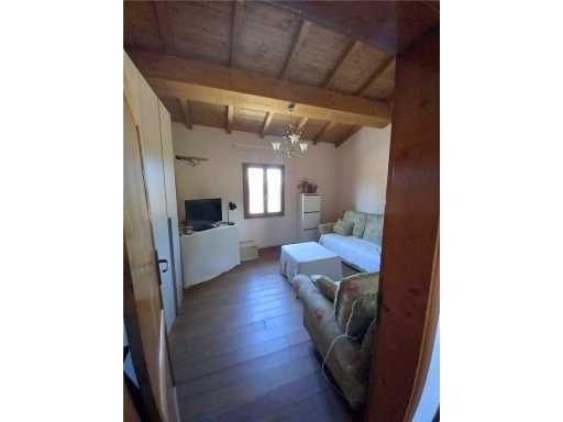  - foto 15