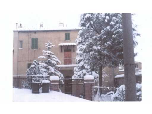  - foto 11