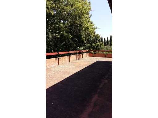  - foto 13