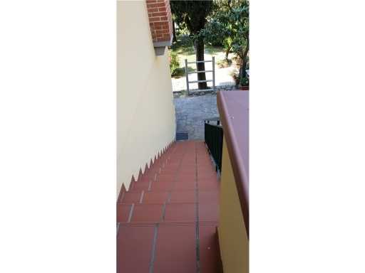  - foto 13