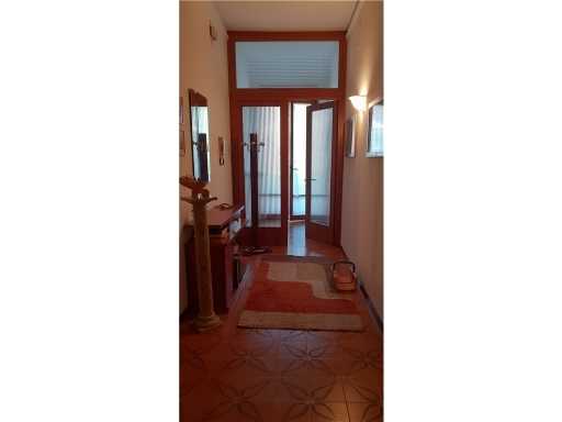  - foto 14