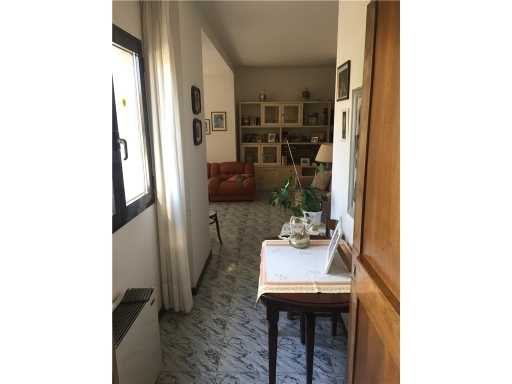  - foto 14