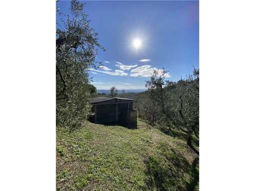 Terreno agricolo PALANDRI 1, Capraia e Limite