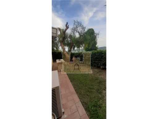  - foto 18