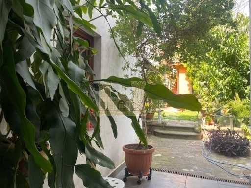  - foto 13
