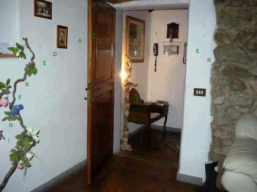  - foto 5