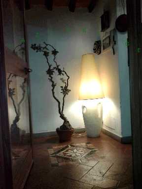  - foto 8
