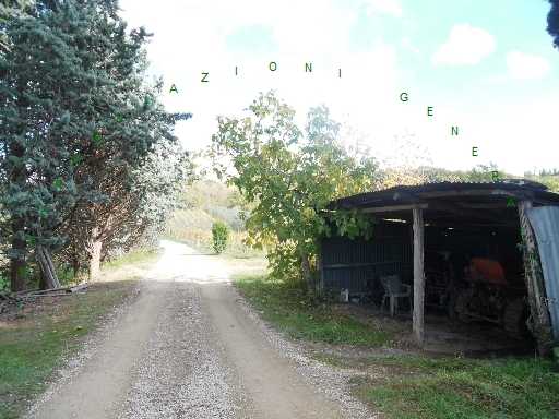  - foto 3