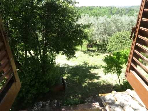  - foto 31