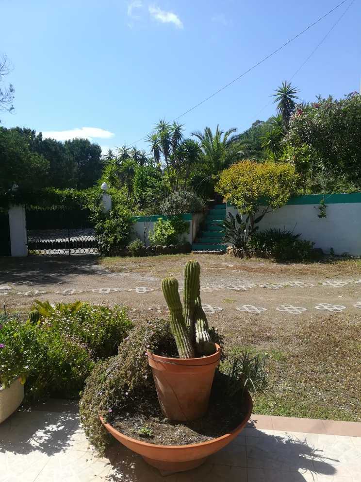  - foto 5