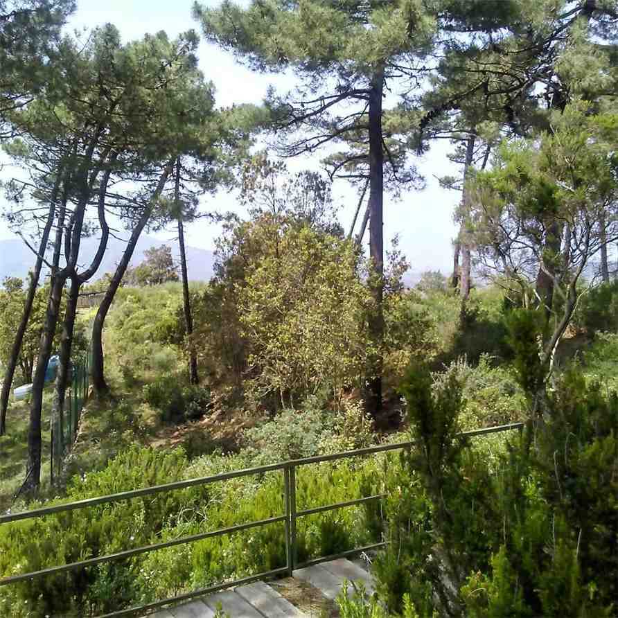  - foto 8