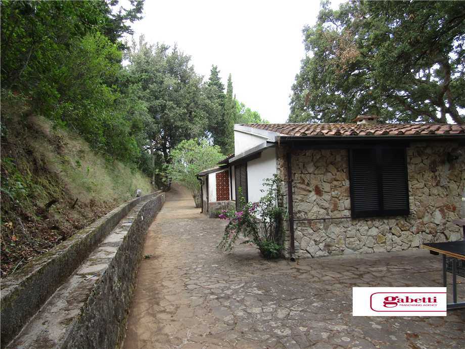  - foto 11