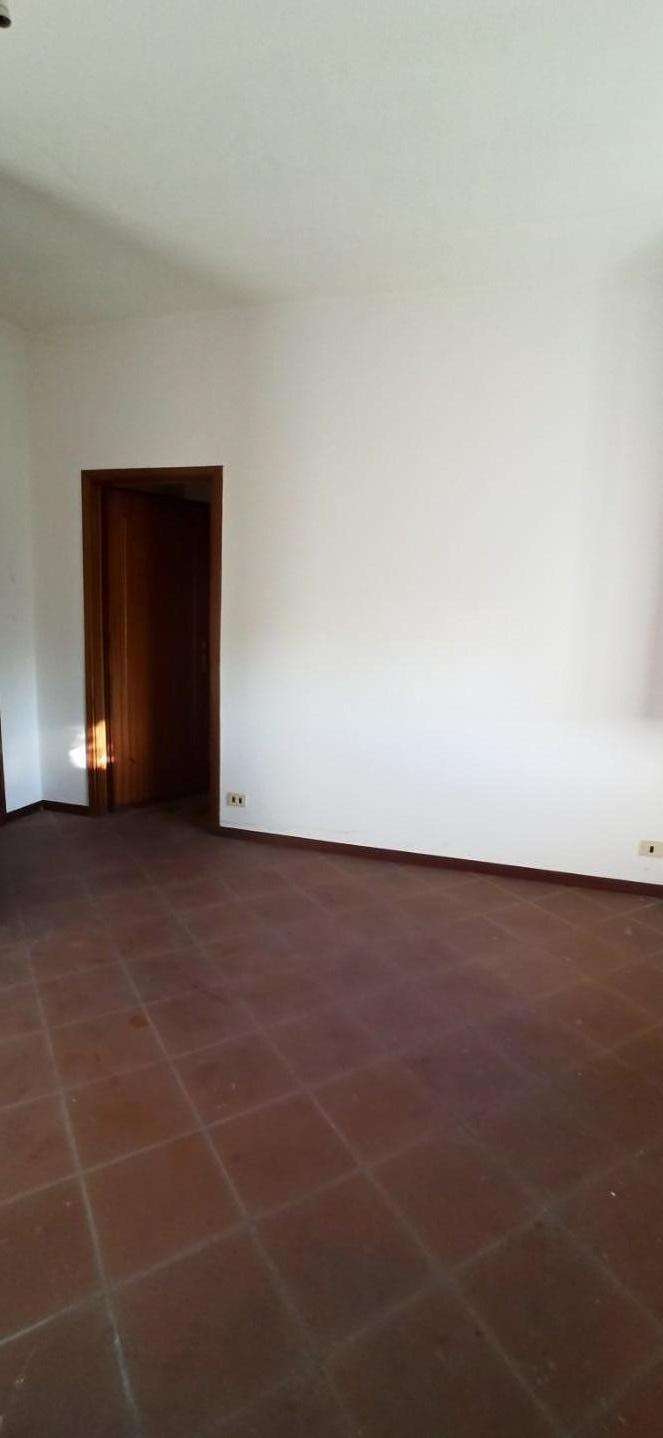  - foto 11