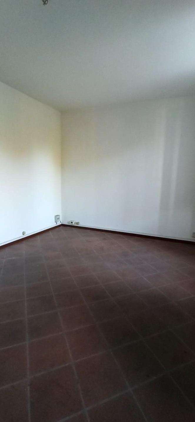  - foto 13
