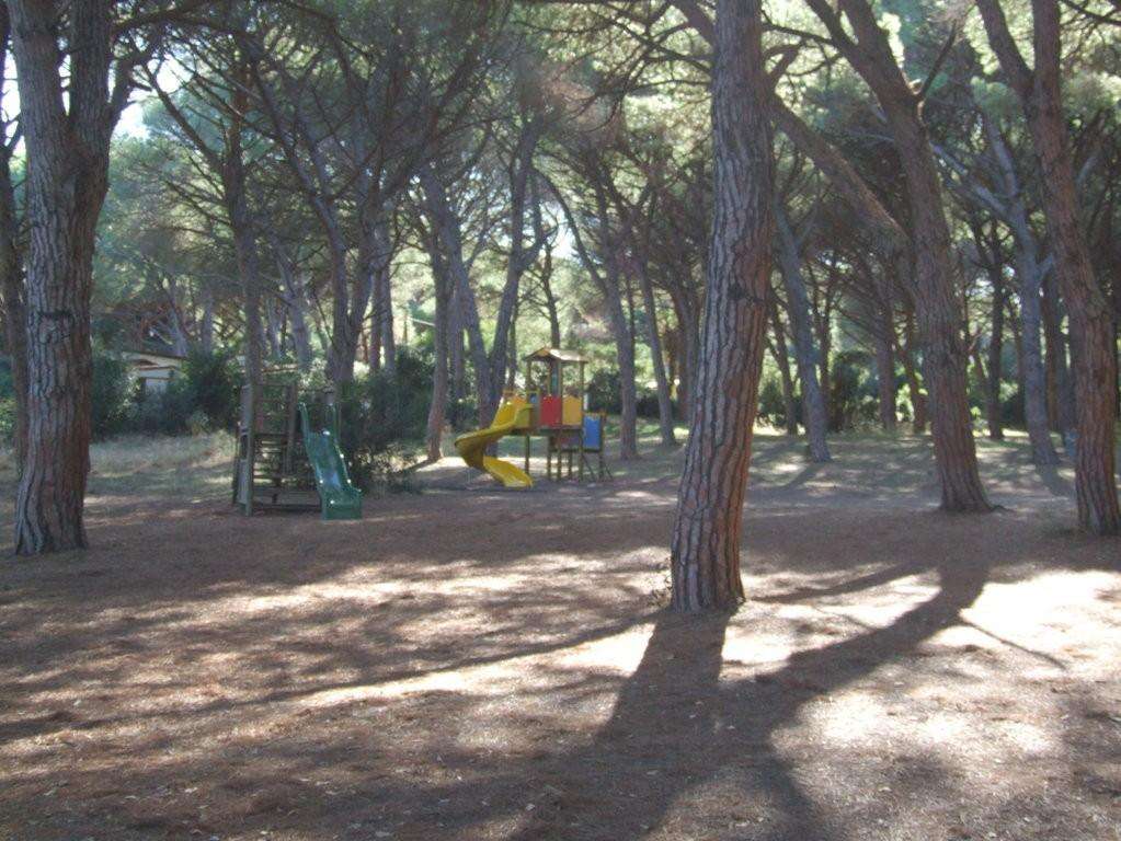  - foto 20