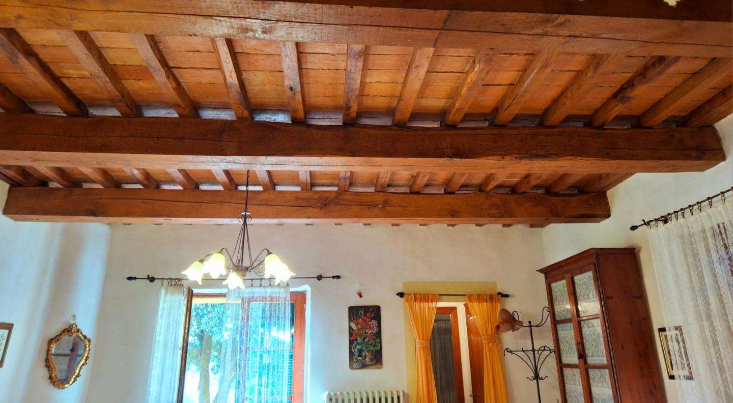  - foto 16