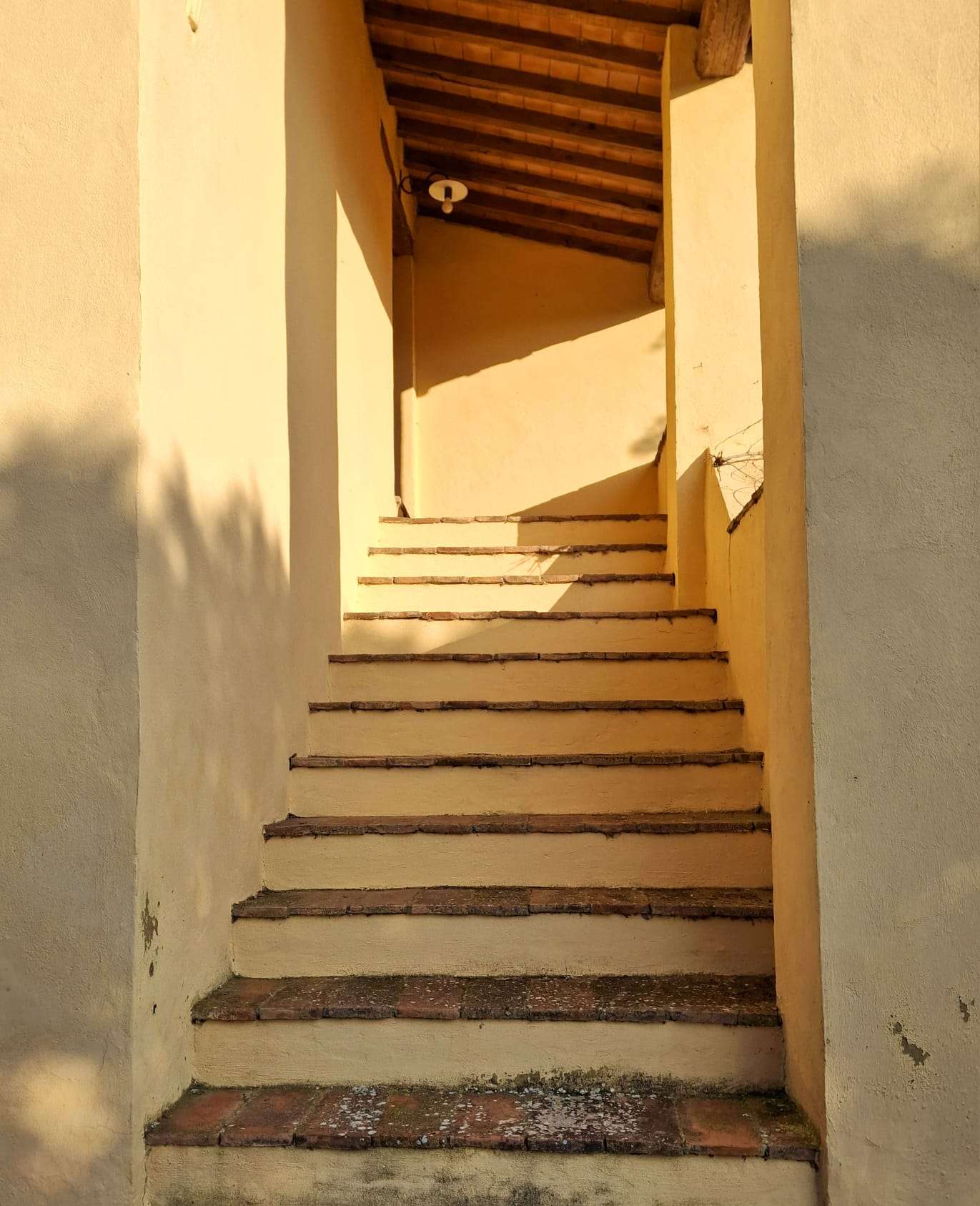  - foto 43