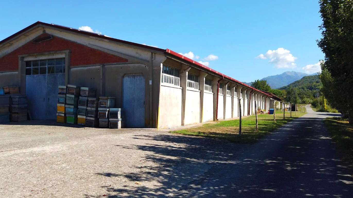  - foto 14