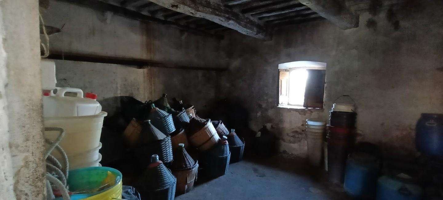  - foto 11